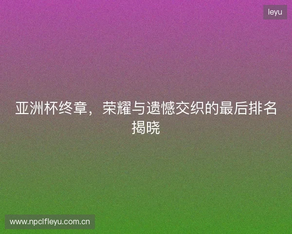 亚洲杯终章，荣耀与遗憾交织的最后排名揭晓