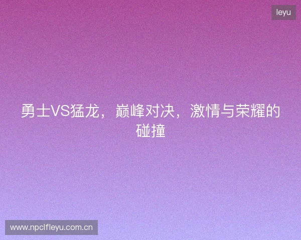 勇士VS猛龙，巅峰对决，激情与荣耀的碰撞